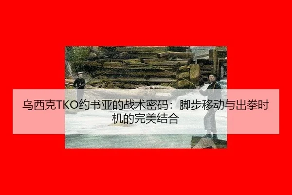 wu-xi-ke-yue-shu-ya-de-zhan-shu-mi-ma-jiao-bu-yi-dong-yu-chu-quan-shi-ji-de-wan-mei-jie-he-2-348.jpg